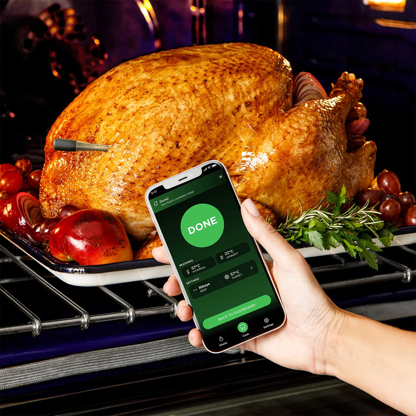 Ninja-R-WP100UK-EU-InUse-Kitchen-Oven-Turkey-App-Woman